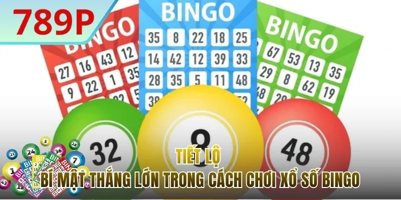 Bí quyết thắng lớn trong cách chơi xổ số Bingo